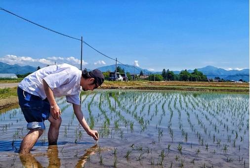 NEWS | ACIDMAN MOBILE